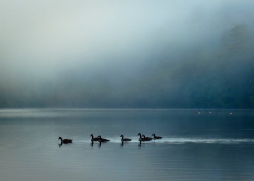 WEEKLY PHOTO CHALLENGE: DREAMING