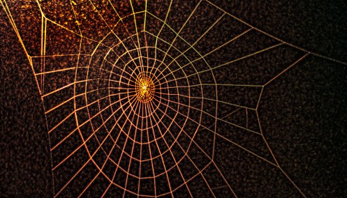 WEEKLY PHOTO CHALLENGE: GEOMETRY