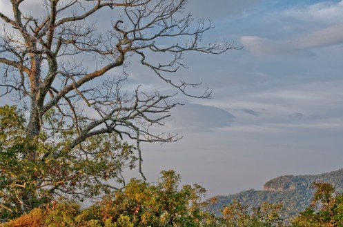 SPECIAL PHOTO CHALLENGE: INSPIRATION