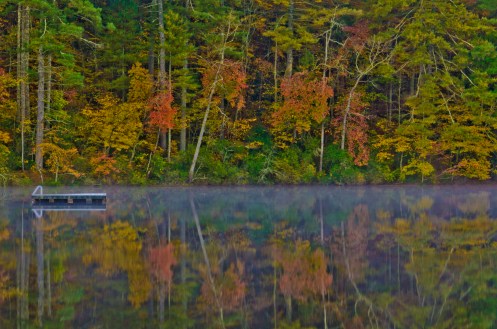 WEEKLY PHOTO CHALLENGE: GREEN