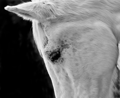 WEEKLY PHOTO CHALLENGE: EVERYDAY LIFE