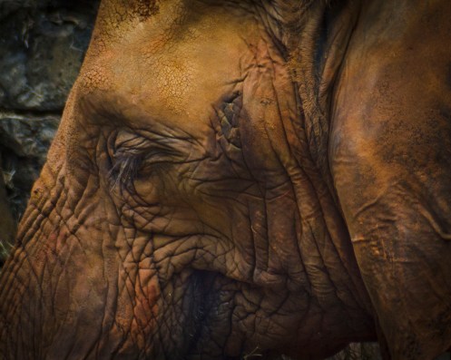 WEEKLY PHOTO CHALLENGE: FOREIGN