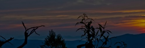 WEEKLY PHOTO CHALLENGE: RENEWAL