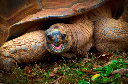 WEEKLY PHOTO CHALLENGE: BIG