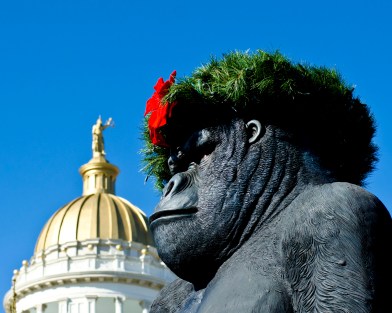 WEEKLY PHOTO CHALLENGE: WRONG