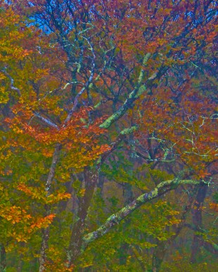 WEEKLY PHOTO CHALLENGE: ILLUMINATION