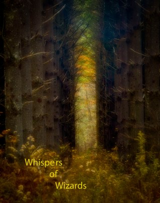 Whispers of Wizards