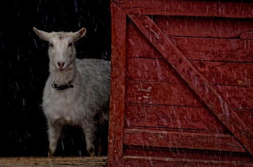 are you kidding it's snowing outside