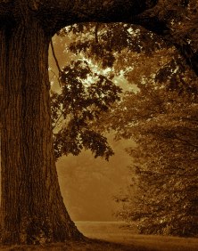 We don’t yet see things clearly. We’re squinting in a fog, peering through a mist. But it won’t be long before the weather clears and the sun shines bright! We’ll see it all then......