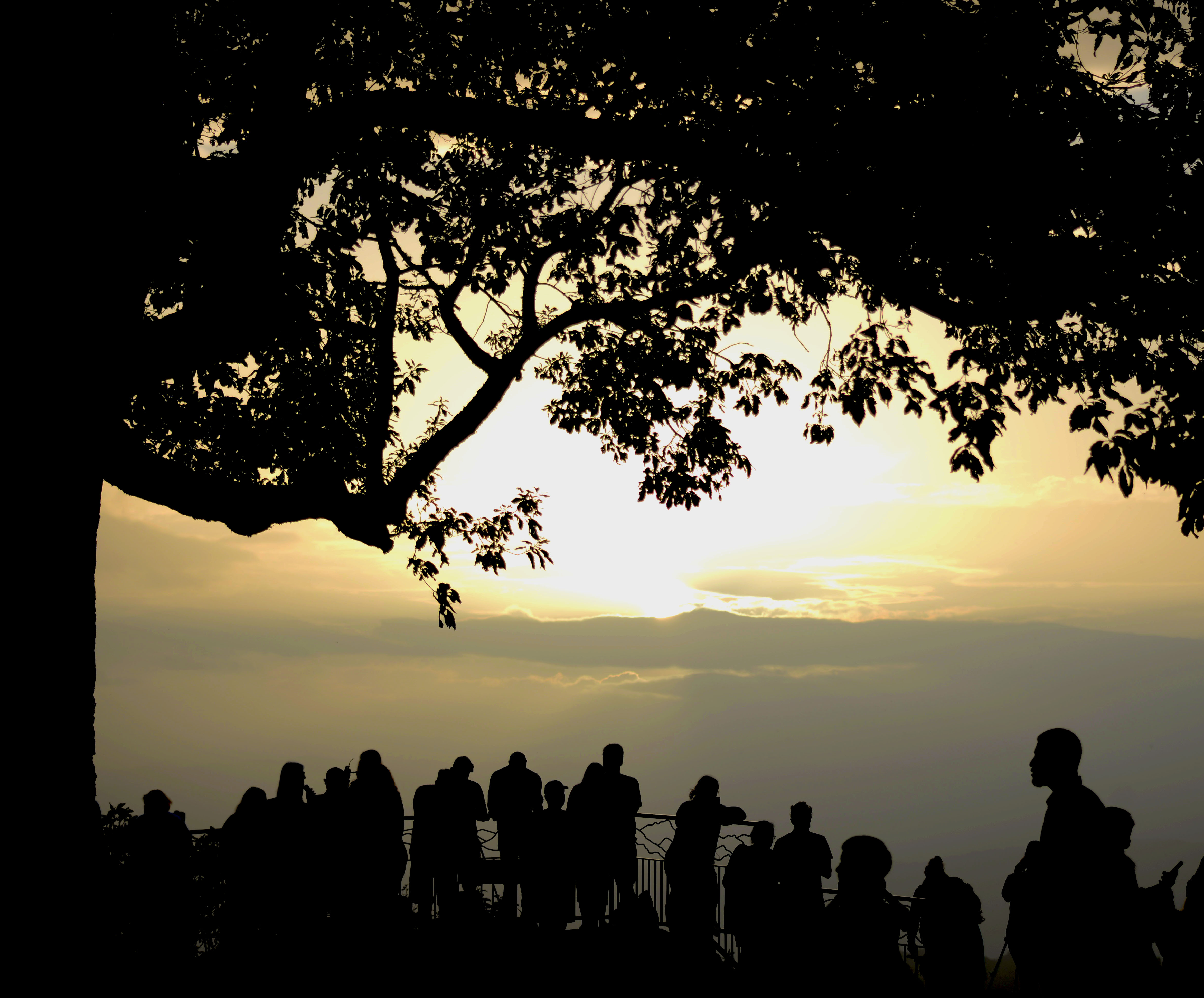 saharan dust sunset.jpg